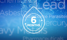 Replace your water filter every 6 months